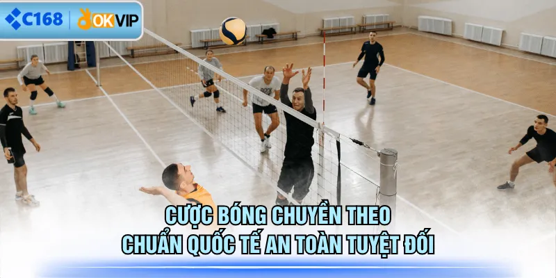 Cược bóng chuyền theo chuẩn quốc tế an toàn tuyệt đối